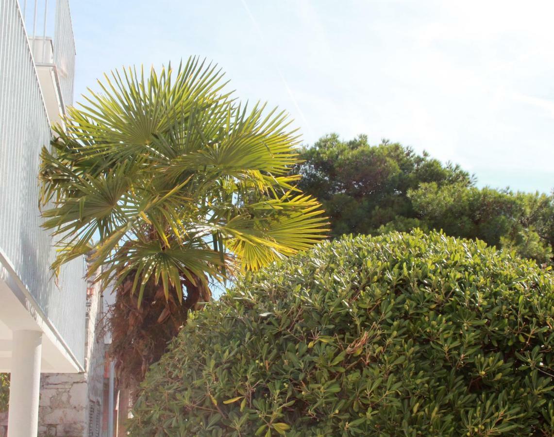 Apartmani "Mali Mago" Tribalj Εξωτερικό φωτογραφία