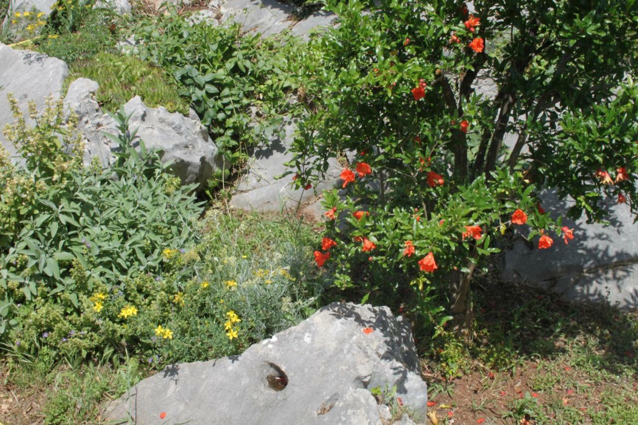 Apartmani "Mali Mago" Tribalj Εξωτερικό φωτογραφία